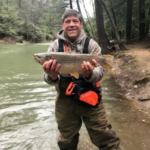 Meet your Posher, David